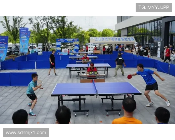 乒乓球运动的魅力与发展探析从国球精神到全民健身新风尚