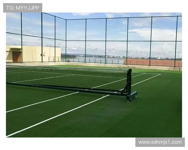 从草地到硬地全面解析网球技术演变与顶级赛事魅力探索