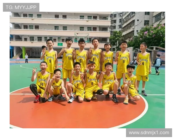 以篮球为纽带探寻团队合作精神与青春激情的完美融合