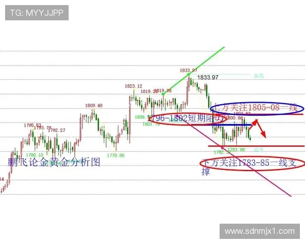 电竞赛事比分实时更新分析 关注热门战队动态与比赛走势