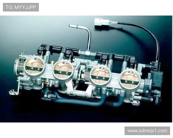 探索篮球运动魅力与团队竞技精神的全方位深度解析指南实用篇章集