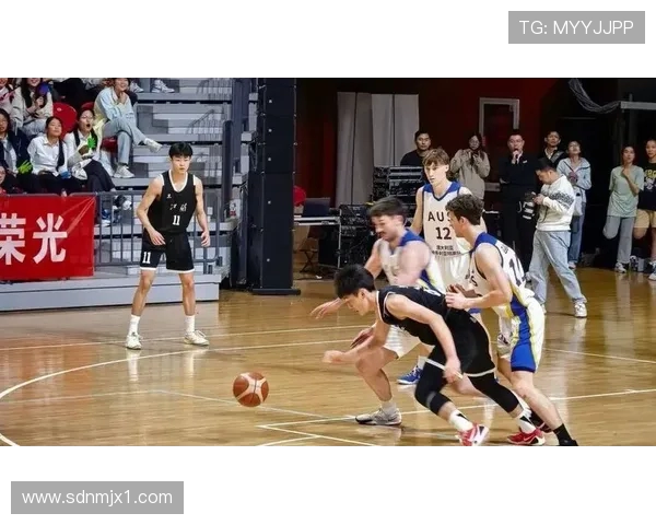 聚焦篮球明星成长之路与赛场传奇故事全面深度精彩多维解析呈现影