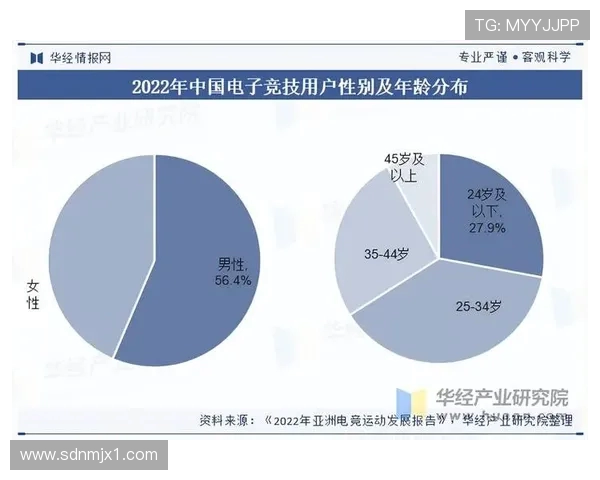 全球电子竞技产业崛起推动年轻一代探索数字竞技新纪元