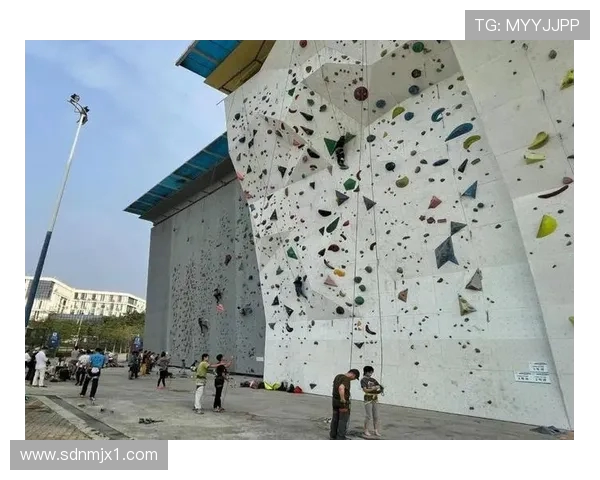 广州攀岩队创新战术解析与转型策略的深度剖析