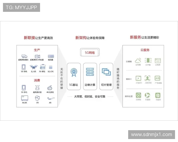 杭州排球队运营分析：成功经验与面临挑战的全面探讨