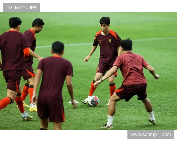 深圳足球队在全国锦标赛中的崛起与突破之路全景回顾