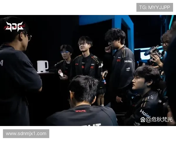 聚焦英雄联盟：深入解析JDG战队成员的个人能力与表现