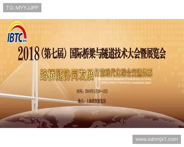 西安羽毛球队战术解析:从技术到战术的全面探讨与提升