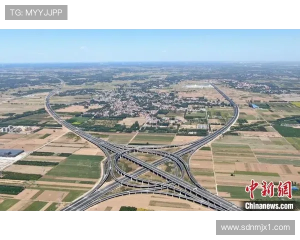 本菲卡再创辉煌全面解析球队崛起之路与未来发展蓝图