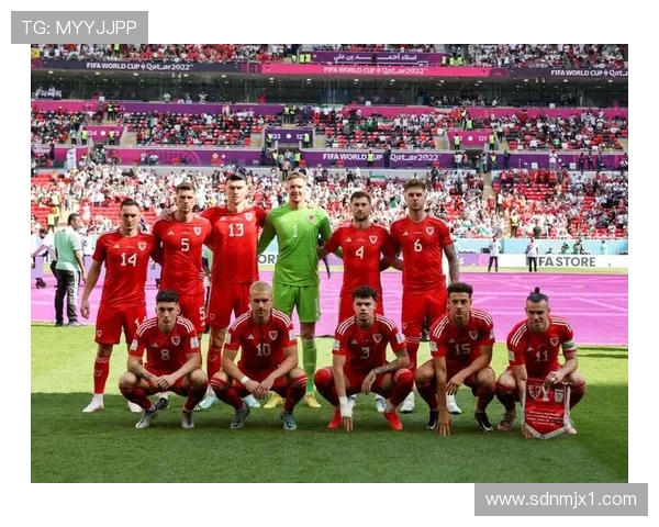 中国对阵威尔士足球赛精彩回顾与战术分析全景展示