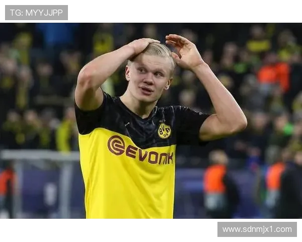 哈兰德：从天才少年到足球巨星的辉煌历程与未来展望